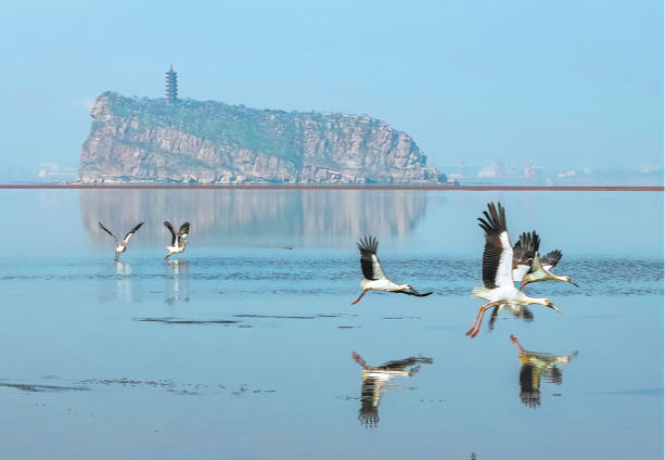 Flood of opportunities in ecological preservation